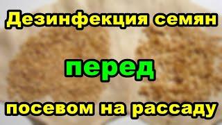 Дезинфекция семян перед посевом на рассаду | Советы огородникам