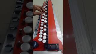 oh yara ve Song Banjo cover Ravindra Jadhav