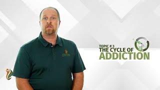 The Cycle of Substance Abuse Addictions | A Better Today Recovery Services