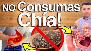 NO CONSUMAS CHÍA! Si Tienes Esto - Beneficios, Contraindicaciones Y Efectos de la Chia