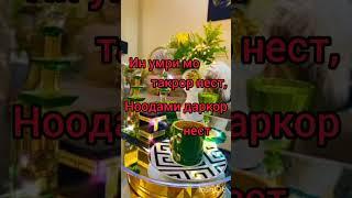 Умри нотакрор