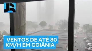 Temporais em Goiás causam alagamentos e derrubam árvores