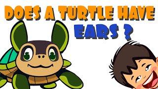 Complete the funny turtle ears puzzle