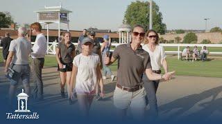 Tattersalls Somerville Yearling Sale 2023 Review