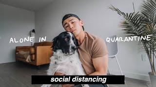 homebody vlog: social distancing while living alone