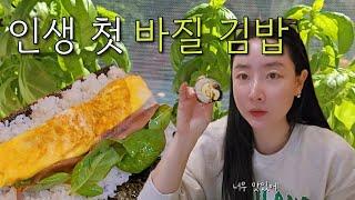 인생 첫 바질 김밥 먹방! 햅쌀로 만드니 더 맛있어... 햅쌀로 만드니 더 맛있어...