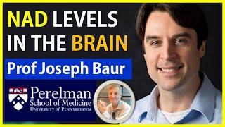 NAD Levels In The Brain | Professor Joseph Baur Interview Series Episode 5