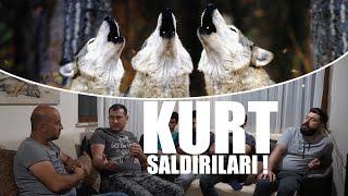 KURDU AĞZINDAN ZOR ALDIK ! ( YAŞANMIŞ OLAYLAR - KASTAMONU #2 ) KANGAL, ANADOLU ÇOBAN KÖPEĞİ, KURT