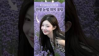 눈썹 위치를 바꾸면 예뻐진다? 내 얼굴 비율에 맞게 이마가 좁다면 기존 보다 ⬇️이마가 넓다면 눈썹 위치 ⬆️ #shorts