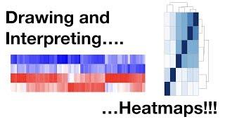 Drawing and Interpreting Heatmaps