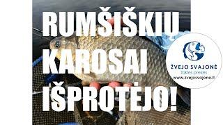 Kauno marių Rumšiškių monstrai - KAROSAI!!!