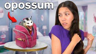 We FOUND A HUGE Opossum In Our HOUSE...*Shocking*