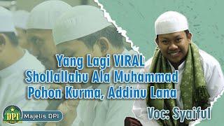 Shollallahu Ala Muhammad, Addinulana, Pohon Kurma - Syaiful Majelis DPI