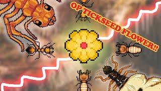 Pocket Ants: Tickseed vs FAN & Solo Termite