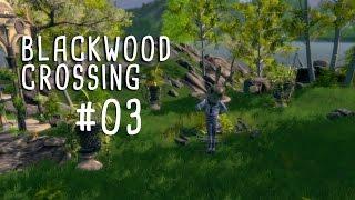 Blackwood Crossing #03 - Das andere Finnland