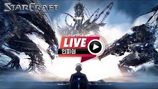 24.06.20(목) 【 인피쉰 생방송 다시보기 】 스타 빨무 스타크래프트 Starcraft