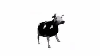 Dancing Polish Cow at 4 am (re-upload)