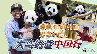 养大暖暖、谊谊、升谊熊猫三姐妹，马来西亚奶爸中国行，奶爸阿克迈勒飞到四川看“女儿”