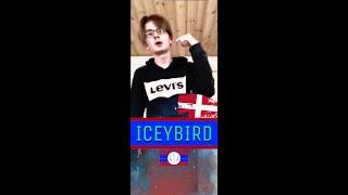 IceyBird  | Insane Melodies!