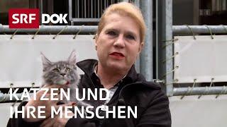 Katzenliebe in der Schweiz | Katzen und ihre Menschen |  Doku | SRF Dok