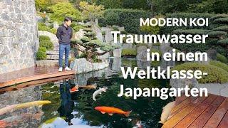 Mit Makoto bei Jana und Henning | Modern Koi Blog #6935