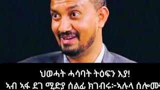 ህወሓት ሓሳብት ትዕፍን እያ፣ኣብ ኣፍ ደገ ሚድያ ሰልፊ ክግበር፦ጋዜጠኛ ኣሉላ ሰሎሙን