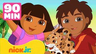 Dora the Explorer | Dora e Diego em Audaciosos Resgates de Bebê Onça!  90 Minutos | Nick Jr.