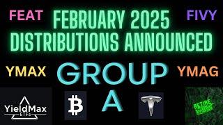 YieldMax February 2025 Group A Distribution Announced (TSLY, OARK, YBIT, TSMY, FEAT,  FIVY & more)