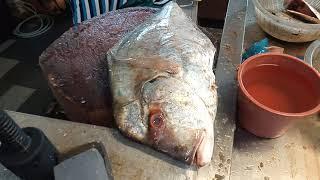 Diamond Travelly fish cutting skills in Penang Georgetown  Malaysia