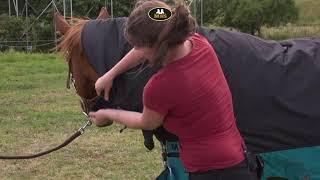 Horseware | Mio all in one | Outdoordeken met vaste hals