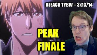 A PERFECT COUR! || GERMAN PHYSICIST watches BLEACH TYBW 3x13 + 14 - BLINDISH REACT-ANALYSIS