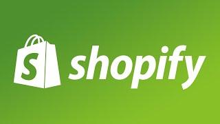 独立站运营教程 Shopify独立站的运营模式1