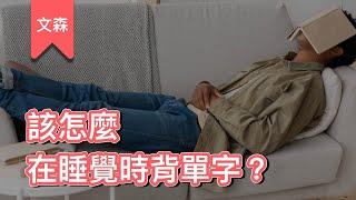 新技能：邊睡邊學｜《睡眠學校》｜文森說書