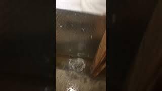 Waterproofing Basement