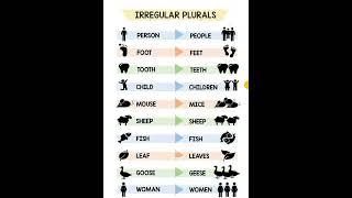 Irregular plural nouns #pluralnouns #irregular #english #vocabularywords #learnenglish #englishwords