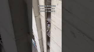 Будни риелтора #новостройки #агентствонедвижимости #риелтор #юмор