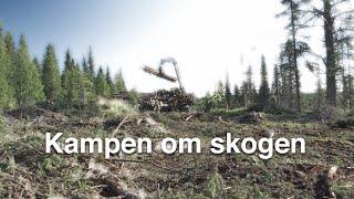 Kampen om skogen – Extinction Rebellions protestaktion i Norrbotten