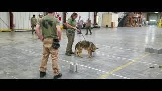 global k9 protection group