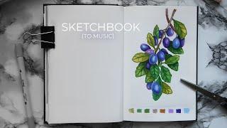 sketchbook tour #6 (под музыку)