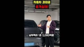 과태료 미납금액만 1조원??내 세금 다 어디감..?