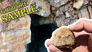 Gold Ore Sample From World War 2 Gold Mine!