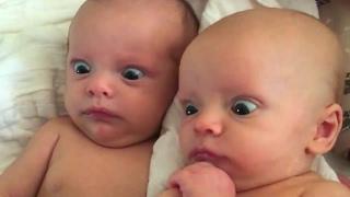 Funniest KID & BABY VINES that will make you DIE LAUGHING - Funny VINE compilation