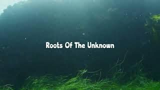 Roots Of The Unknown / Epic Orchestra #NatureMysteries #PowerfulMelodies #CuriousJourney