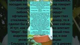 ПОДБОРКА АНЕКДОТОВ ПРО  ВРАЧЕЙ #анекдоты #Юмор #История #Жизнь #Анекдот #Прикол #США
