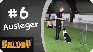 BELCANDO | Agility - Vom Junghund zum Sporthund #6 Ausleger