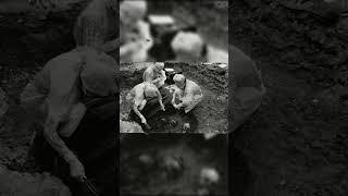 The Darkest Child Experiment of World War II 