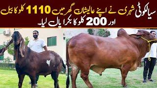 1110 kg bail in Sialkot | Sialkot Plus