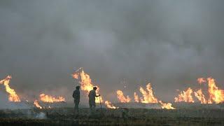 'Strive to achieve zero stubble burning': Centre to Punjab, Haryana, UP and Delhi govts