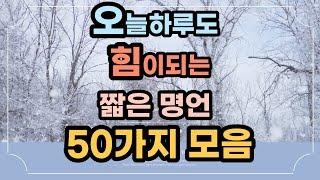 짧은명언│3분영상│인생명언│50가지모음│성공명언│인생글귀