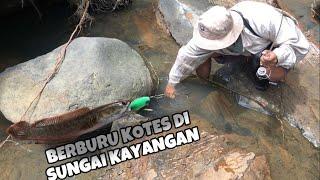 SUNGAI INI SURGANYA IKAN KOTES‼️